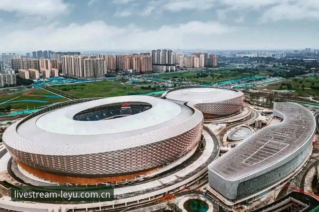 从下载失败到流畅观赛：乐鱼体育视频中国官方主场注册通道必备操作教程
