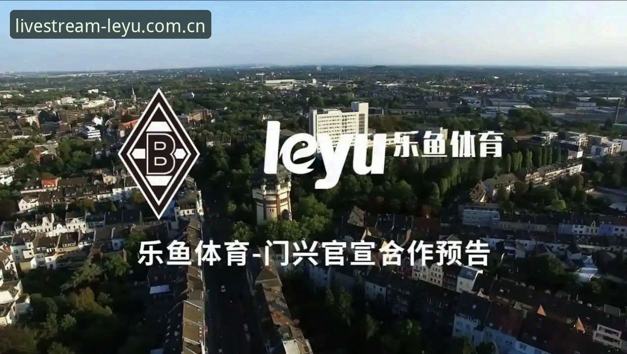 乐鱼体育视频中国官方主场注册通道最新动态：新手用户关心的几个实际问题，逐一拆解
